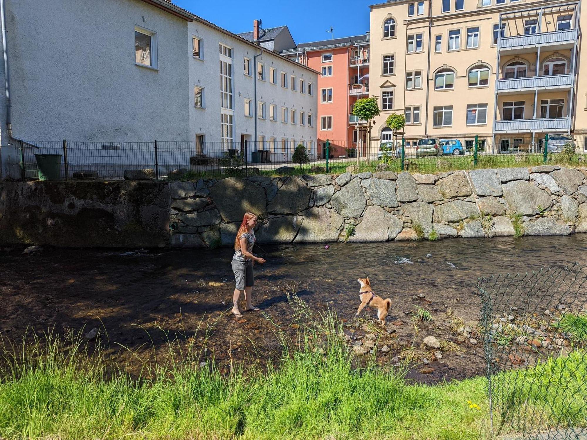 Ut - Urlaubsmagie - Urlaubstraum Mit Whirlpool, Pool & Sauna Sebnitz Eksteriør billede