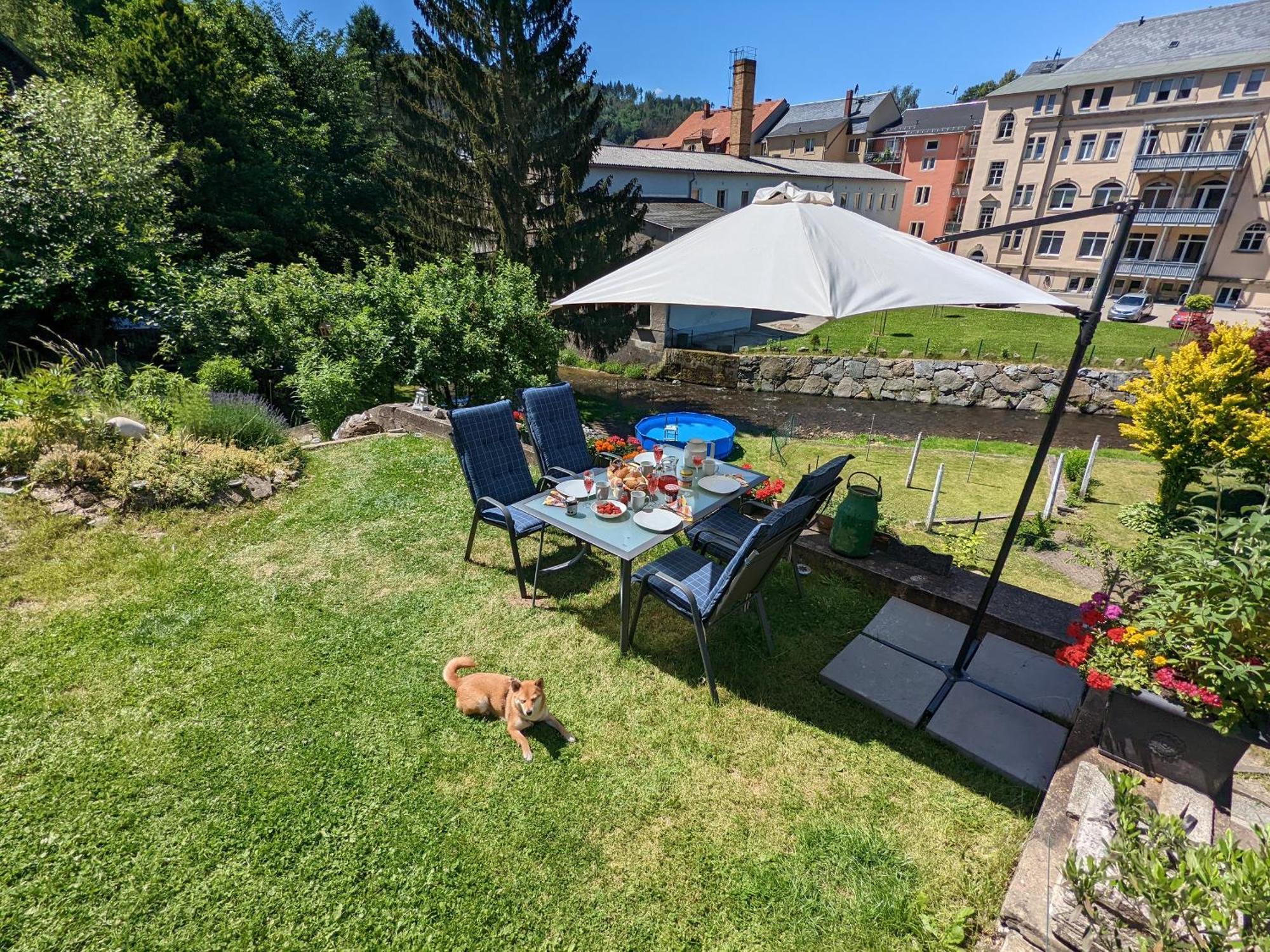 Ut - Urlaubsmagie - Urlaubstraum Mit Whirlpool, Pool & Sauna Sebnitz Eksteriør billede