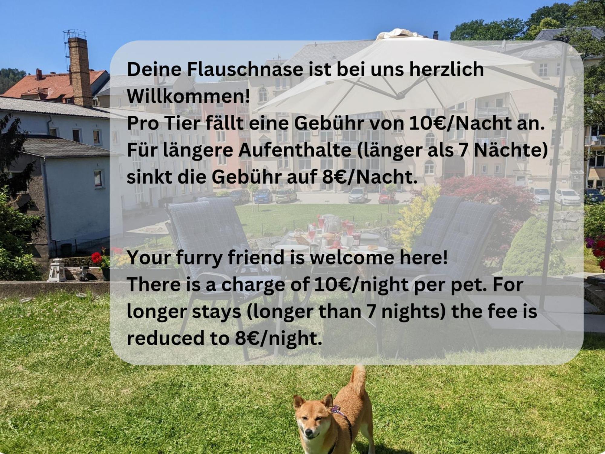 Ut - Urlaubsmagie - Urlaubstraum Mit Whirlpool, Pool & Sauna Sebnitz Eksteriør billede